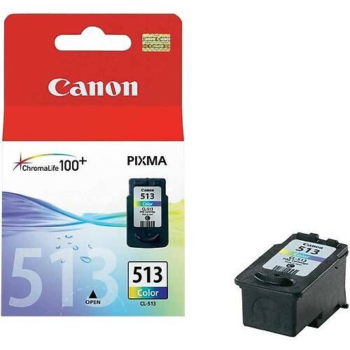 CANON CL-513 Renkli Orijinal Kartuş 2971B007